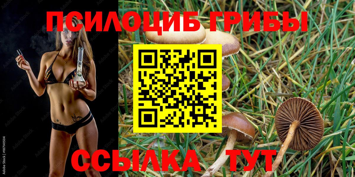 Галлюциногенные грибы Magic Shrooms  Вход с VPN  Брянск 